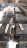 Болт фундаментный тип 2.1 М48х710 мм ГОСТ 24379.1-2012 с анкерной плитой в Хабаровске