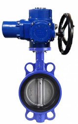Затвор дисковый поворотный WBV1132N-2W-Fb-H Ду50 Ру16, корпус - чугун GG25, диск - нержавеющая сталь 316L, уплотнение - NBR, с электроприводом QT-EX-005M-O2-220VAC-У1 220В